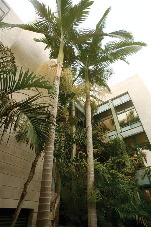 בניין משפחת זוסמן למדעי הסביבה אדריכלים: רפאל לרמן, דרור סדומי (בשיתוף פרופ' עדנה שביב) בניין משפחת זוסמן למדעי הסביבה אדריכלים: רפאל לרמן, דרור סדומי (בשיתוף פרופ' עדנה שביב)